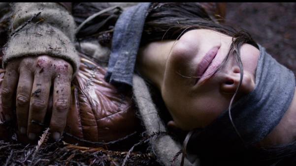 قفس پرنده ساندرا بولاک